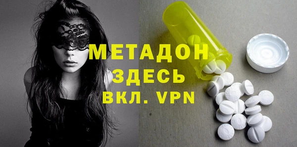 прущие грибы Россошь